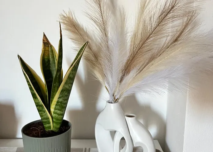 Rosa Dei Venti Διαμέρισμα Αλγκέρο