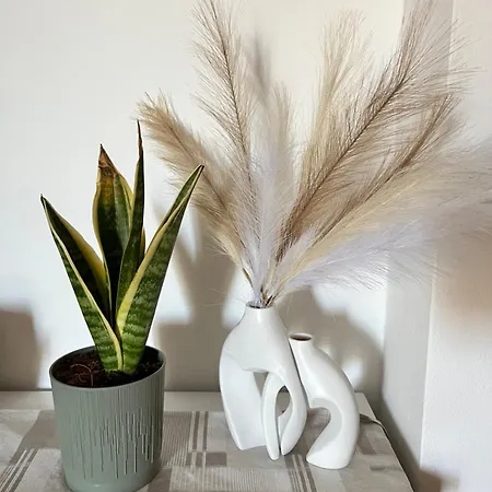 Rosa Dei Venti Appartement Alghero